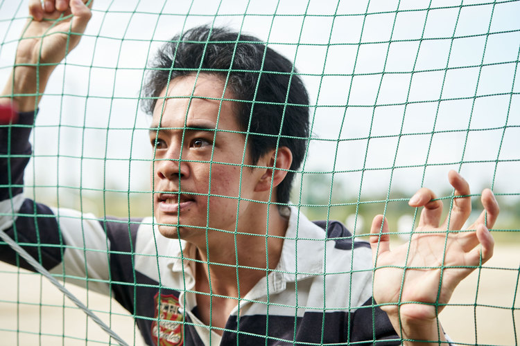 从宫本到你剧照的剧照