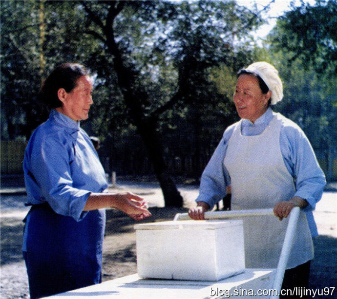 黑三角剧照的剧照