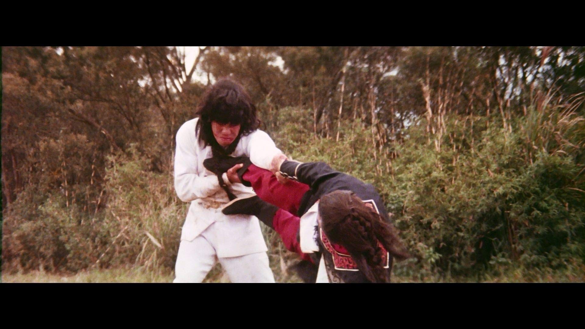 蛇形刁手斗螳螂剧照的剧照