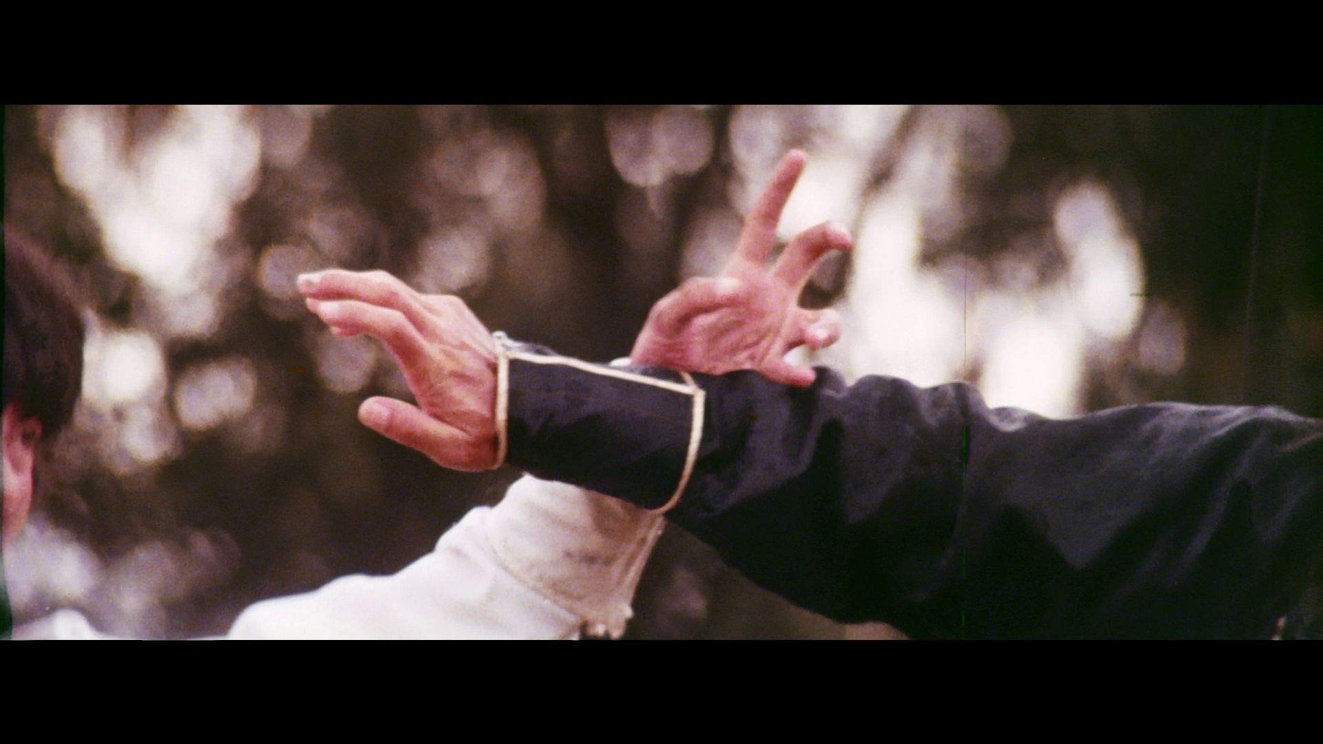 蛇形刁手斗螳螂剧照的剧照