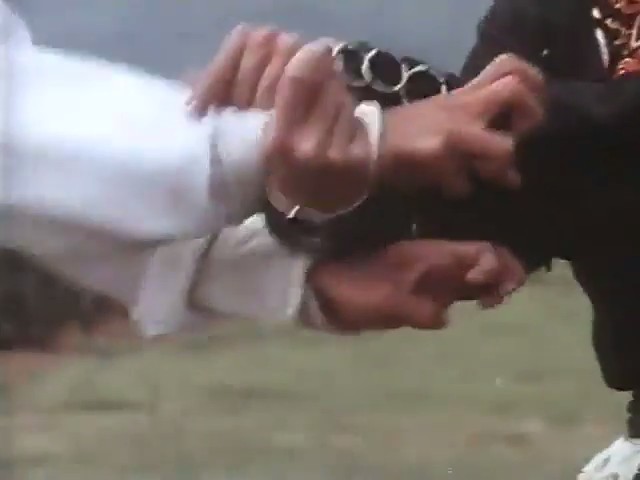 蛇形刁手斗螳螂剧照的剧照