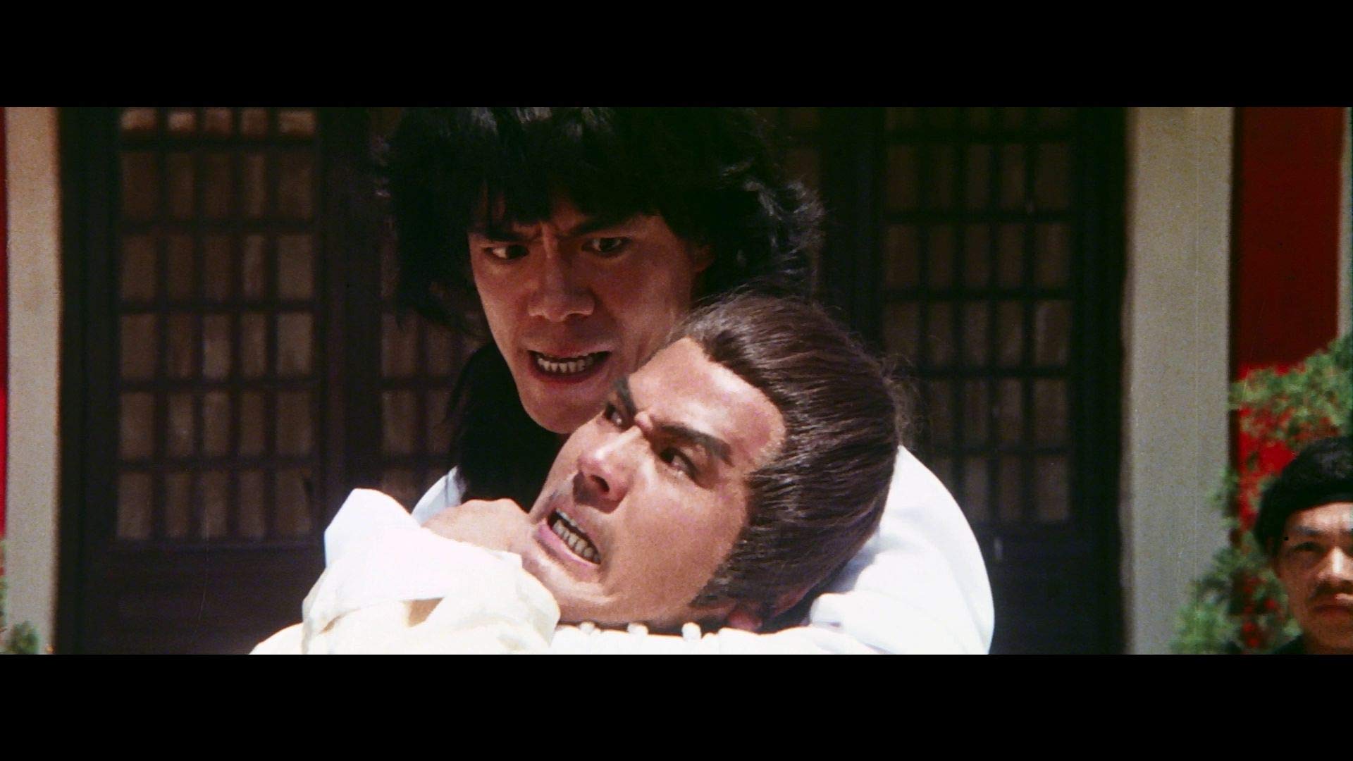 蛇形刁手斗螳螂剧照的剧照