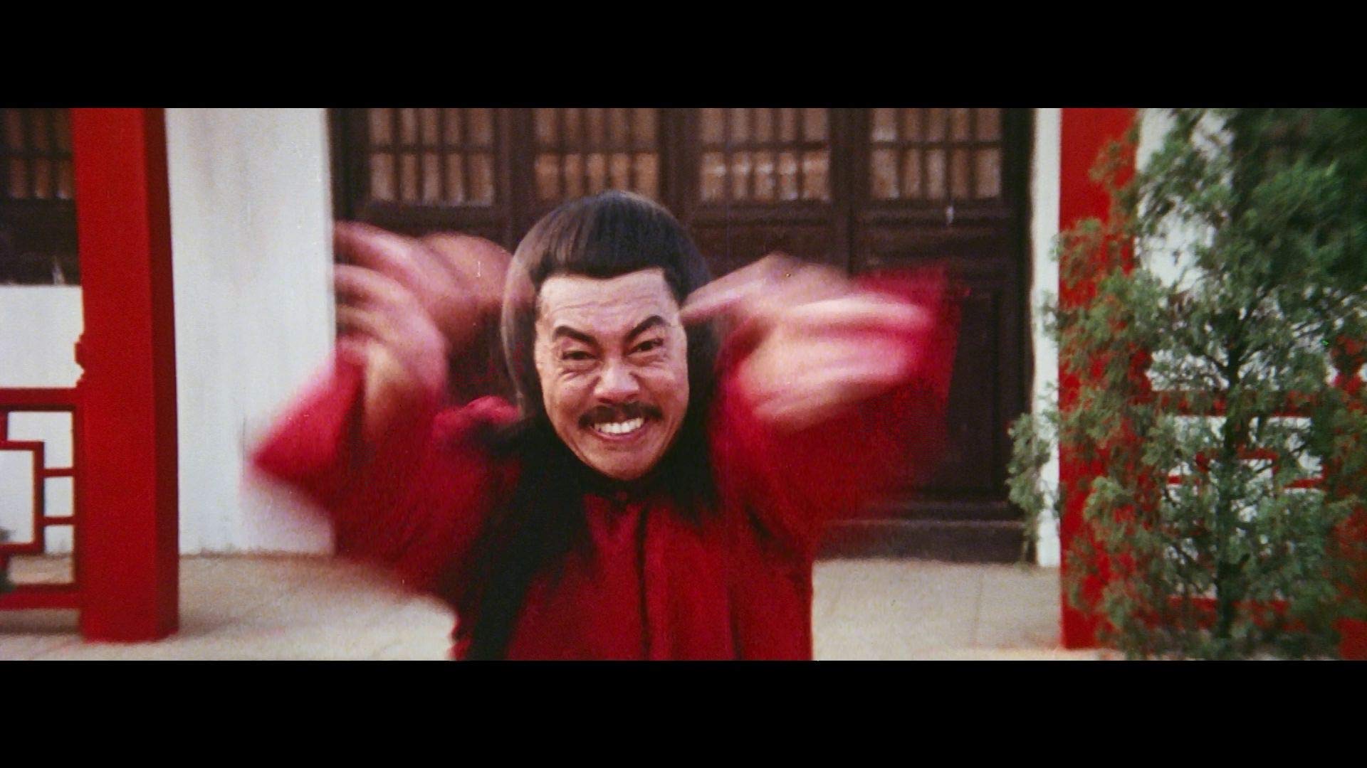 蛇形刁手斗螳螂剧照的剧照