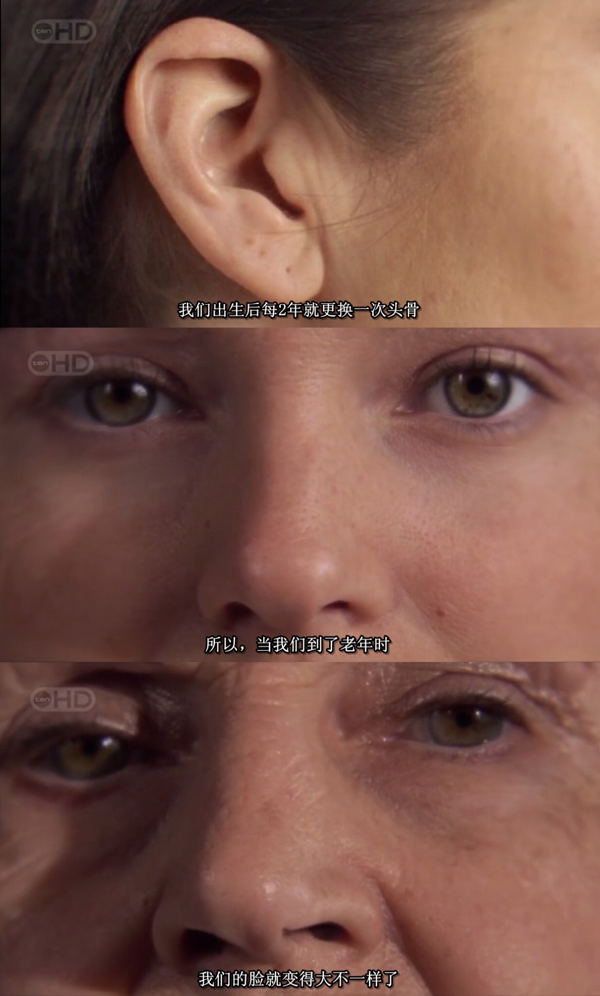 人体内旅行剧照的剧照