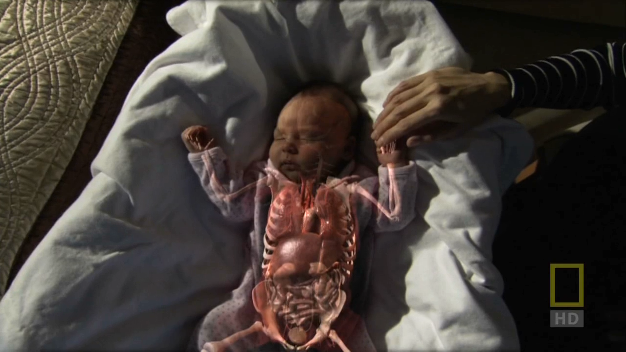 人体内旅行剧照的剧照