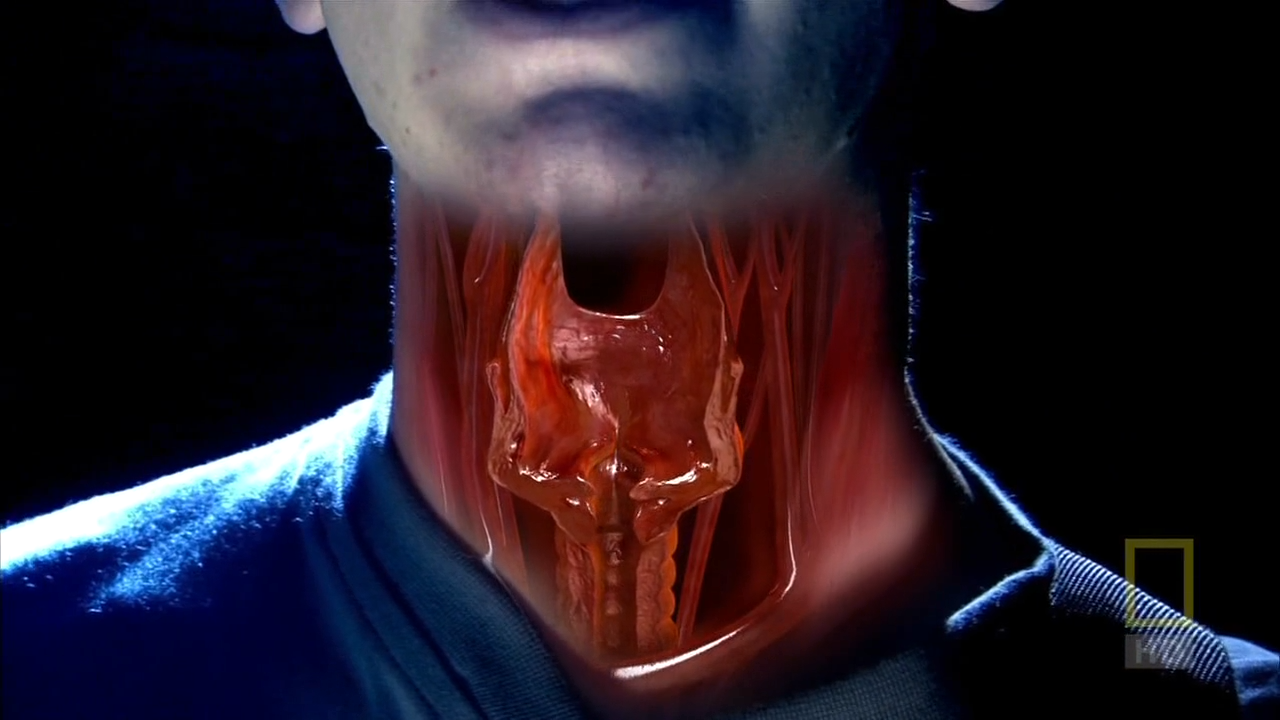 人体内旅行剧照的剧照