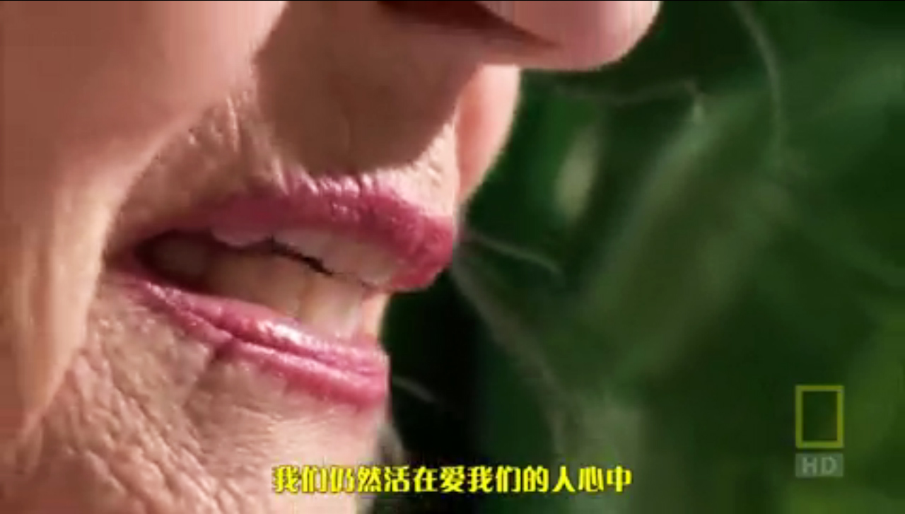 人体内旅行剧照的剧照