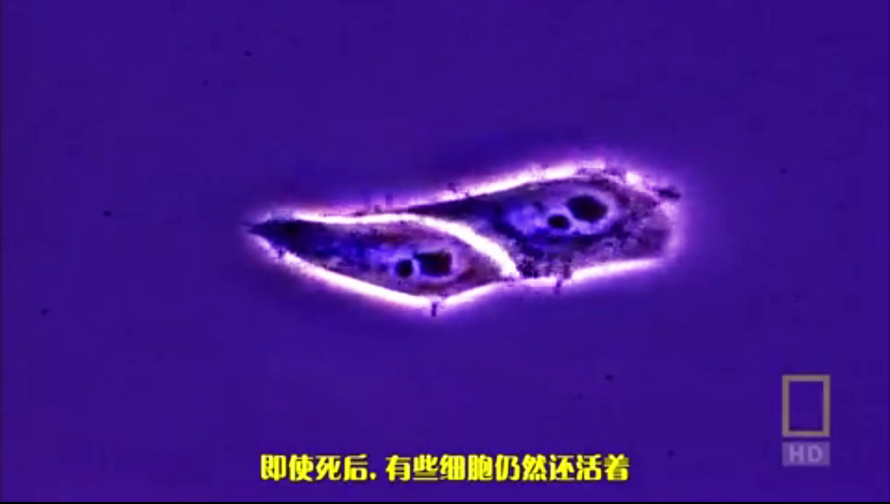 人体内旅行剧照的剧照