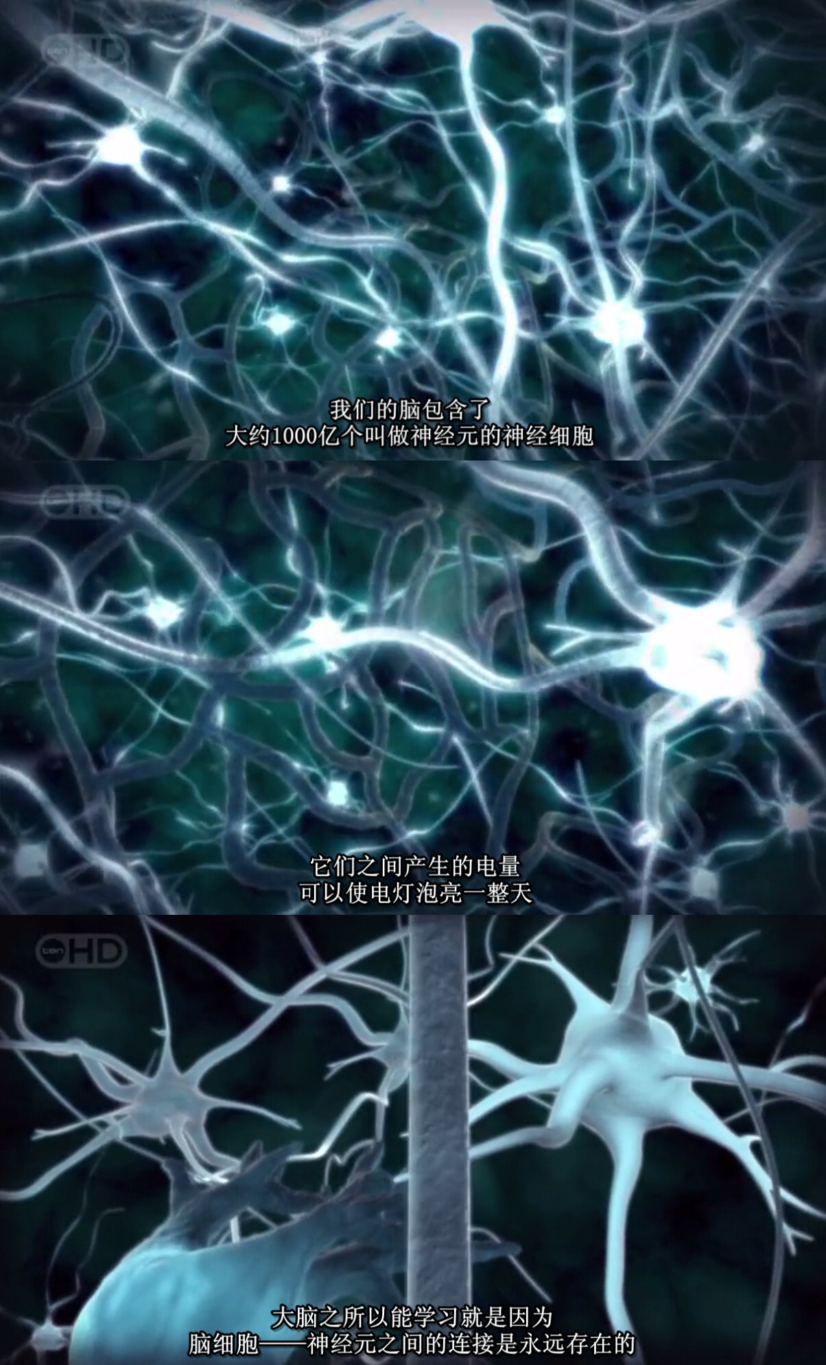 人体内旅行剧照的剧照