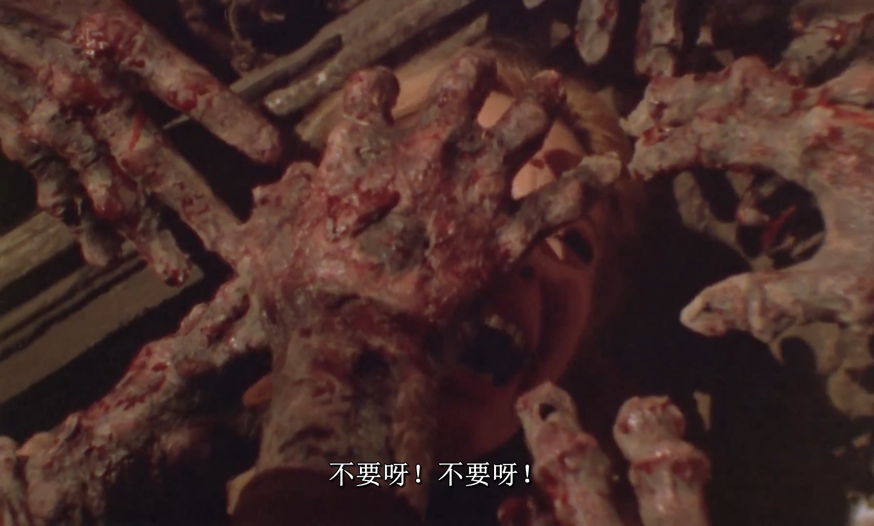 僵尸吃人之午夜恐惧剧照的剧照