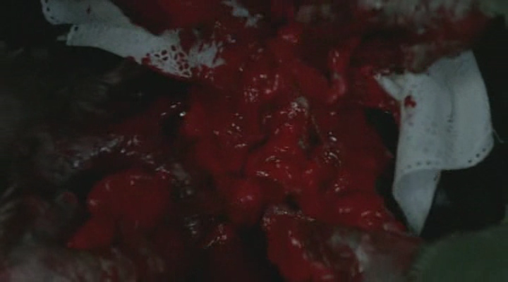 僵尸吃人之午夜恐惧剧照的剧照