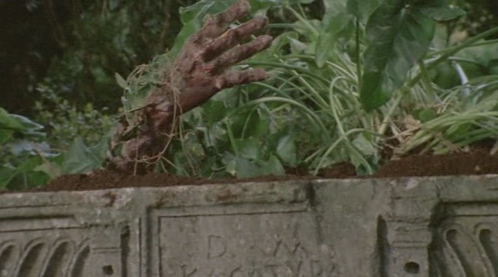 僵尸吃人之午夜恐惧剧照的剧照