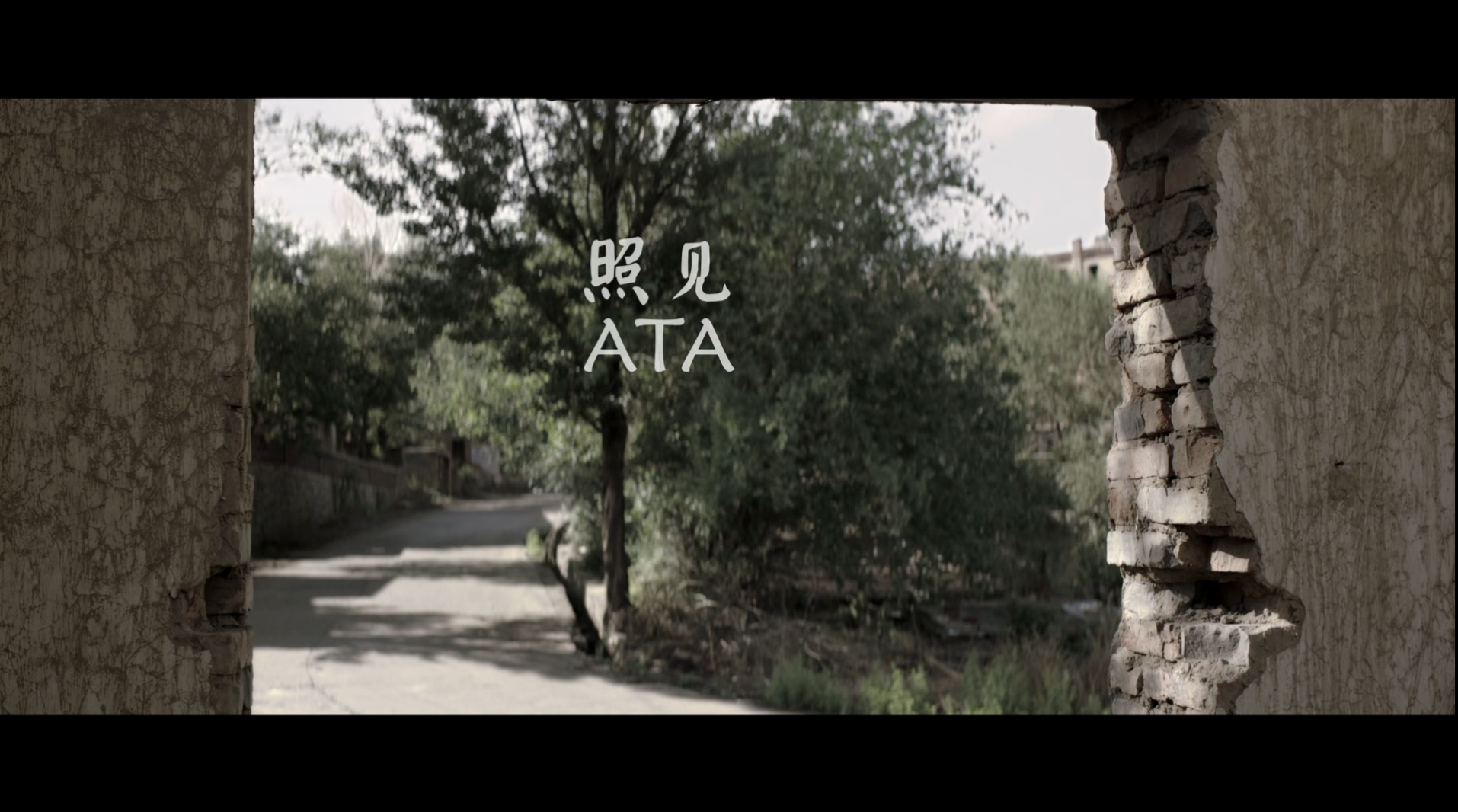 照见剧照的剧照