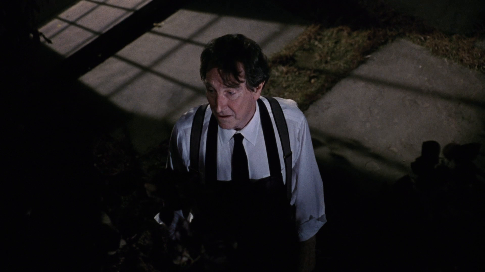 新龙凤配剧照的剧照