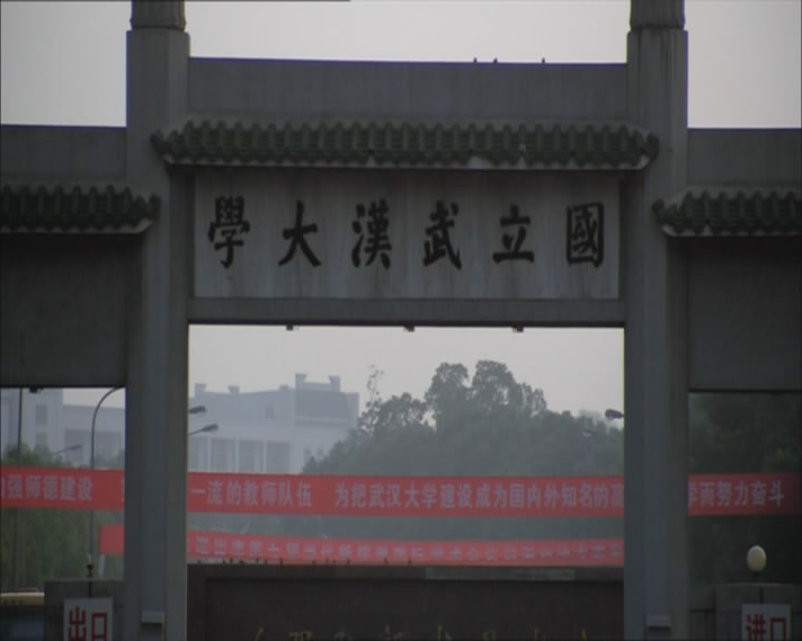 江城夏日剧照的剧照