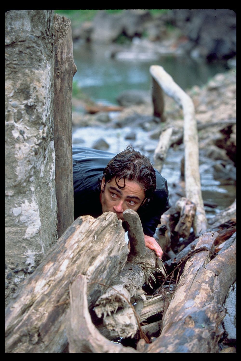 猎捕游戏剧照的剧照