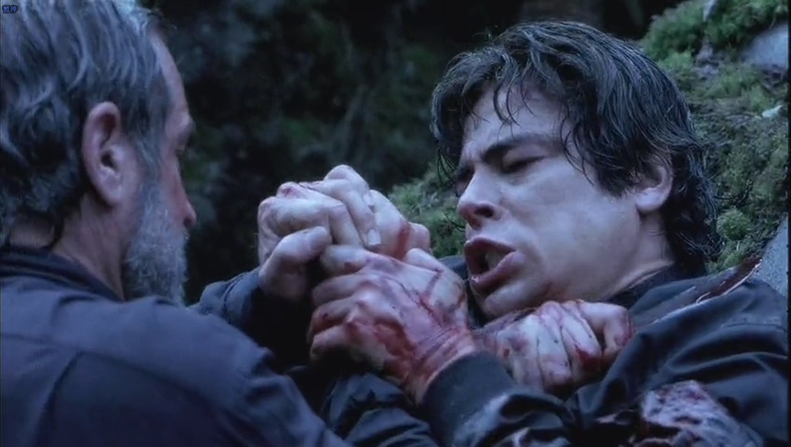 猎捕游戏剧照的剧照