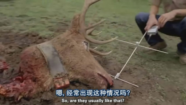 史前巨鳄3剧照的剧照