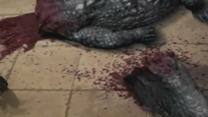 史前巨鳄3剧照的剧照