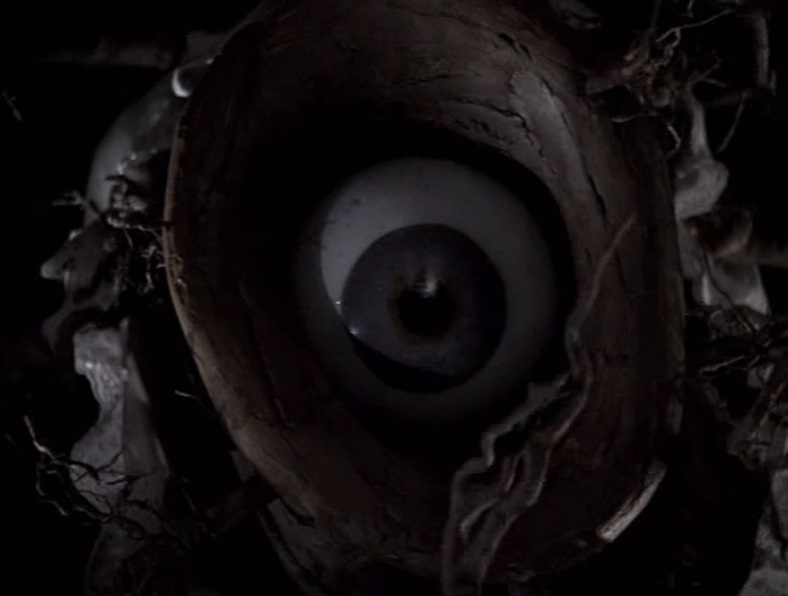 贪吃树剧照的剧照