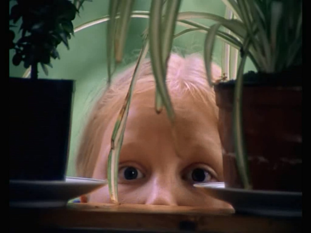 贪吃树剧照的剧照