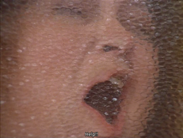 贪吃树剧照的剧照