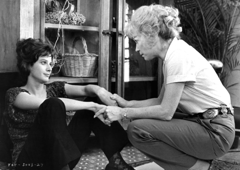 母女情深剧照的剧照