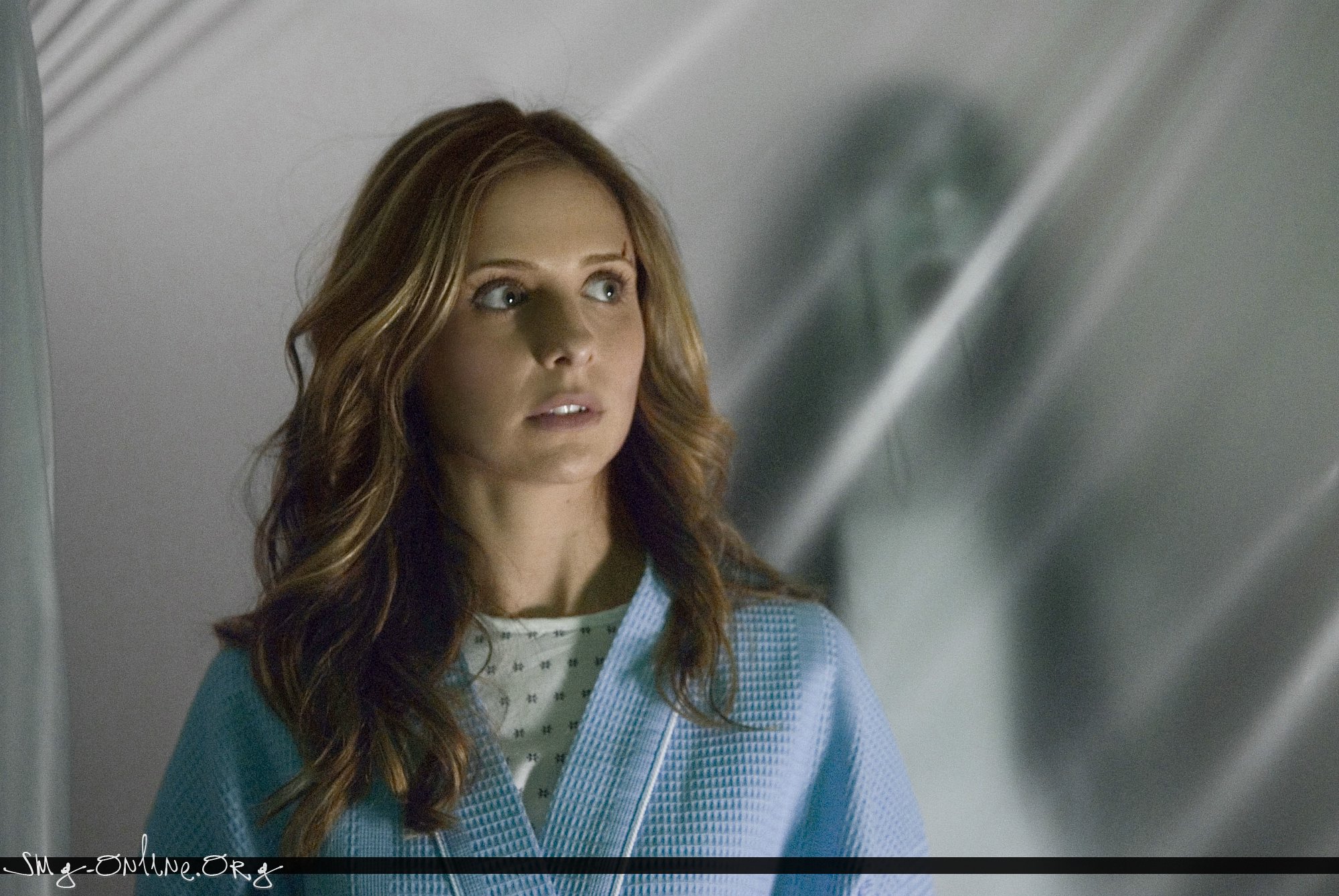 咒怨2(美版)剧照的剧照