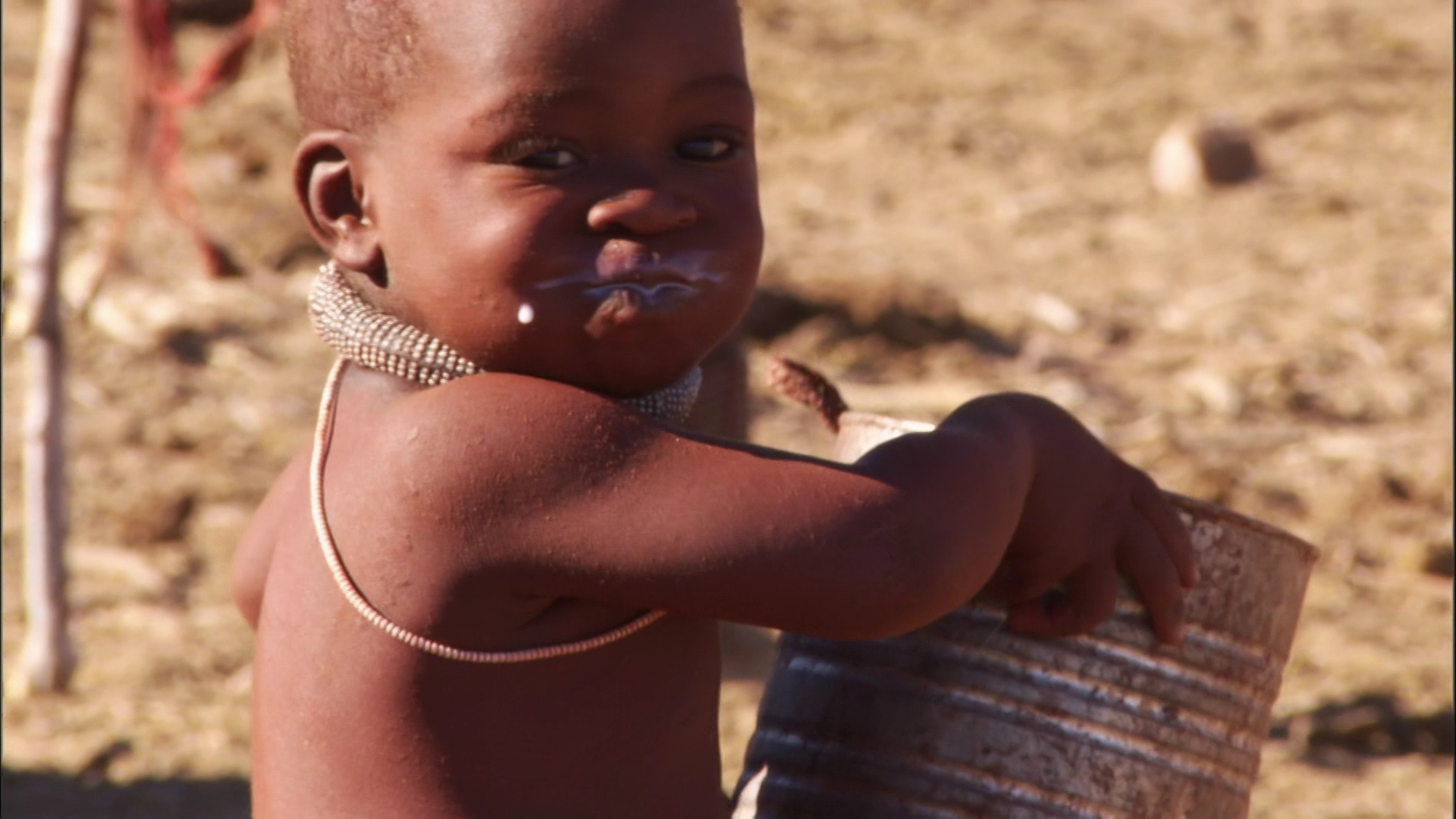自然世界：沙漠狮剧照的剧照