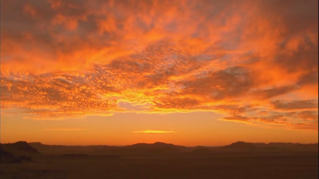 自然世界：沙漠狮剧照的剧照