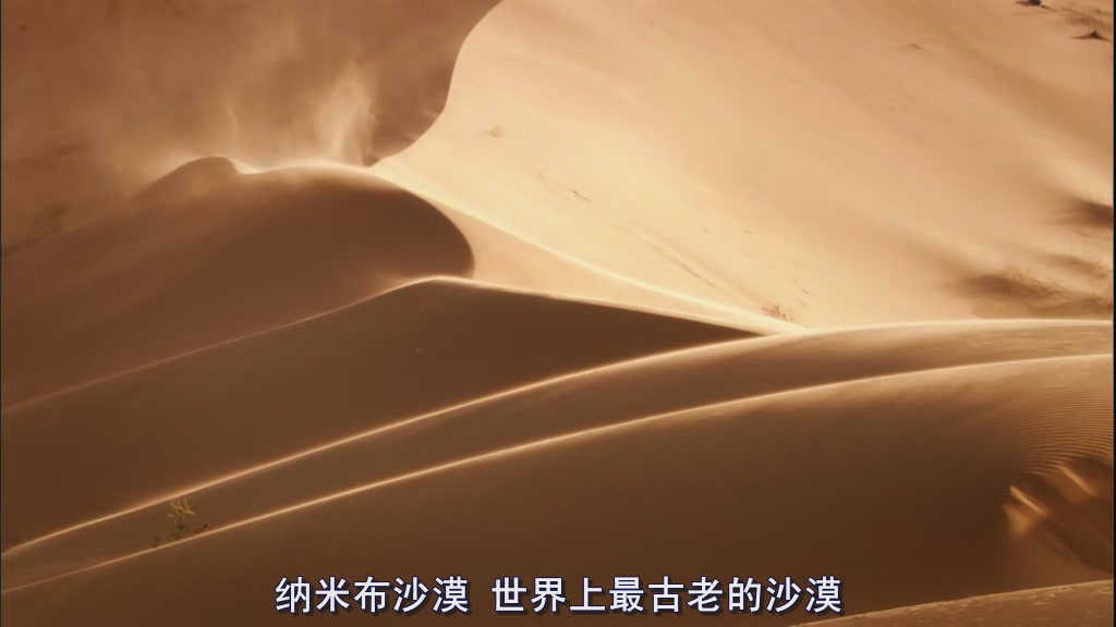 自然世界：沙漠狮剧照的剧照