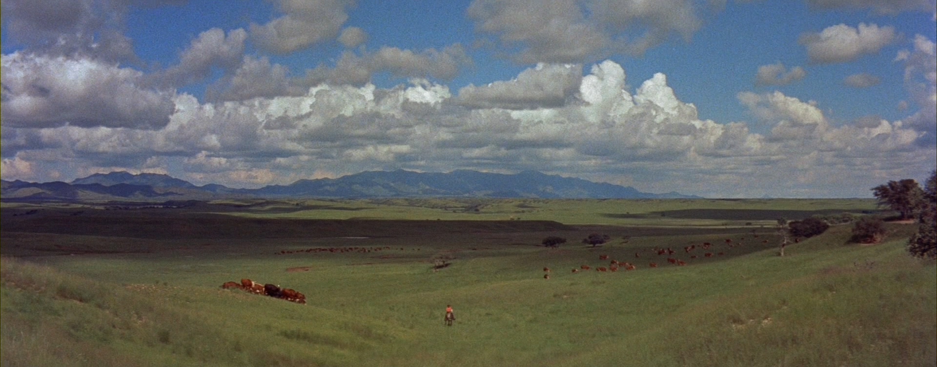 俄克拉荷马剧照的剧照