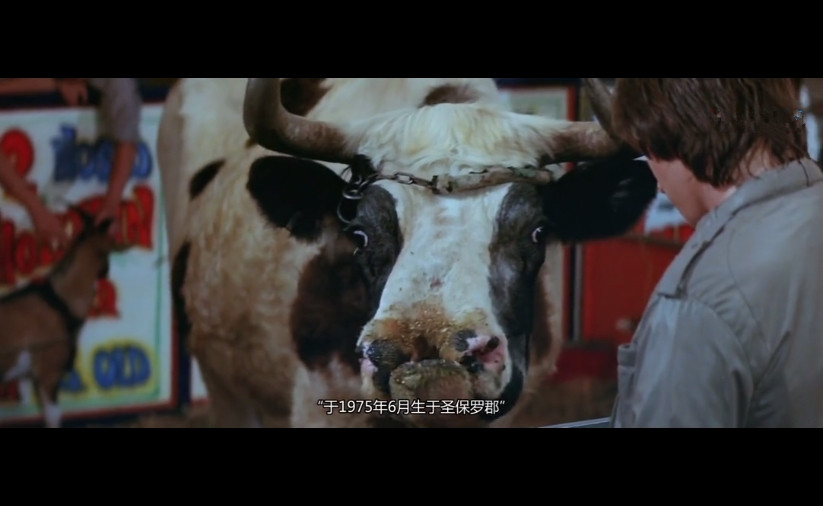 恐怖欢乐屋剧照的剧照