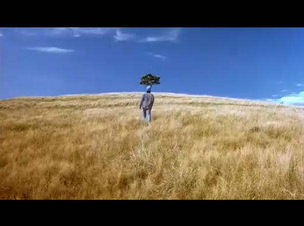 顾城别恋剧照的剧照