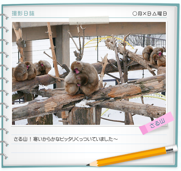 奇迹动物园2015：生命的接力棒剧照的剧照