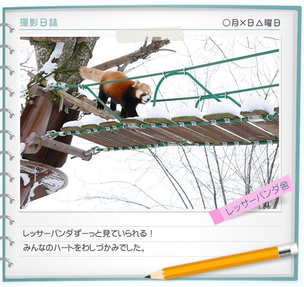 奇迹动物园2015：生命的接力棒剧照的剧照