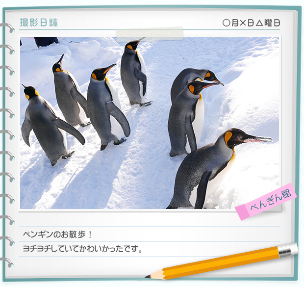 奇迹动物园2015：生命的接力棒剧照的剧照