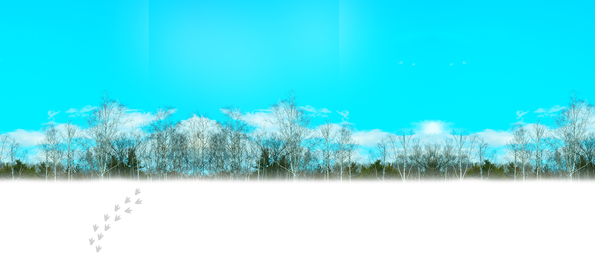 奇迹动物园2015：生命的接力棒剧照的剧照