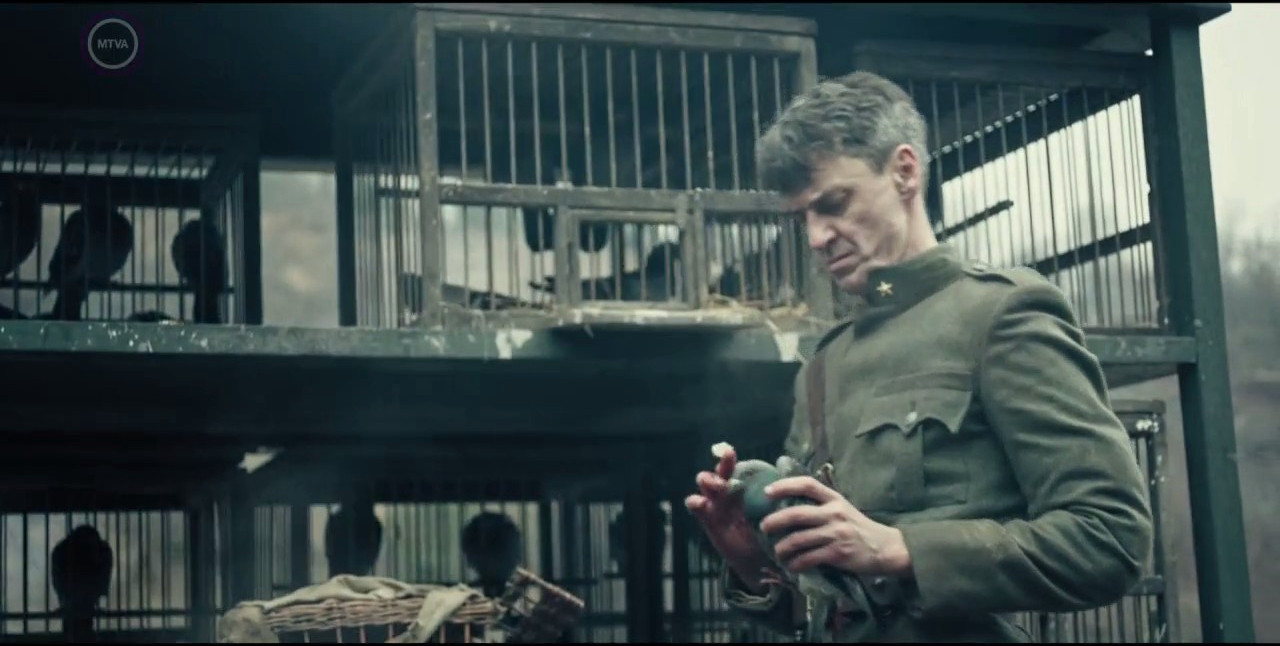 灰质剧照的剧照