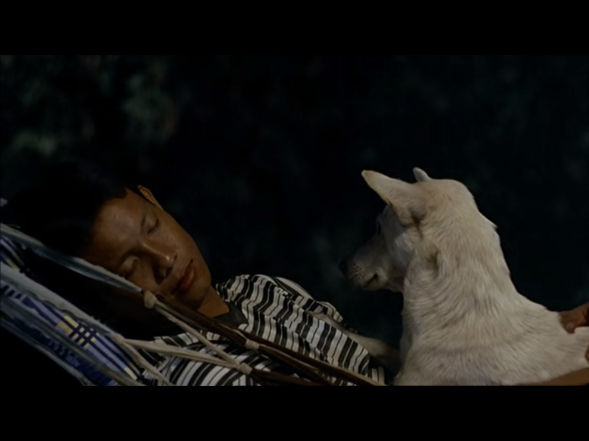 热带疾病剧照的剧照