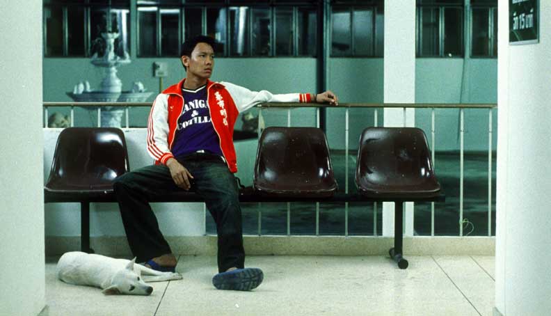 热带疾病剧照的剧照