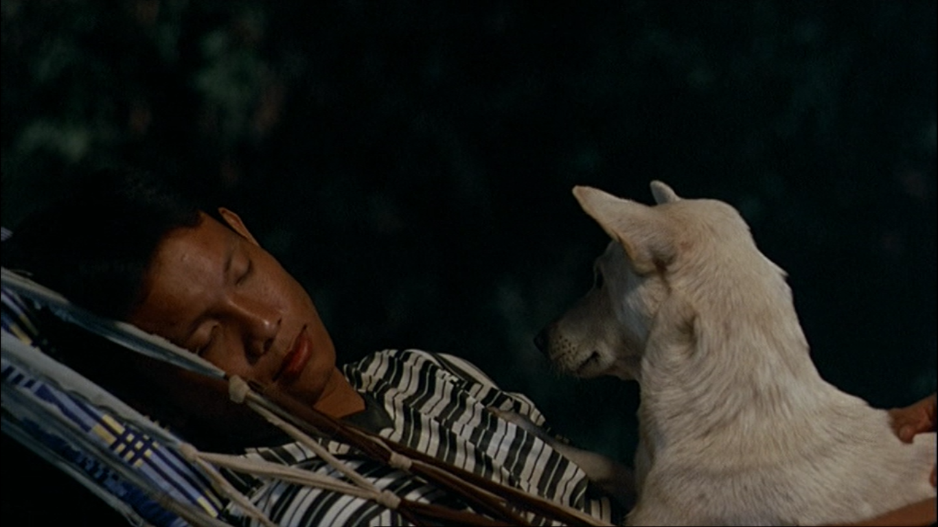 热带疾病剧照的剧照