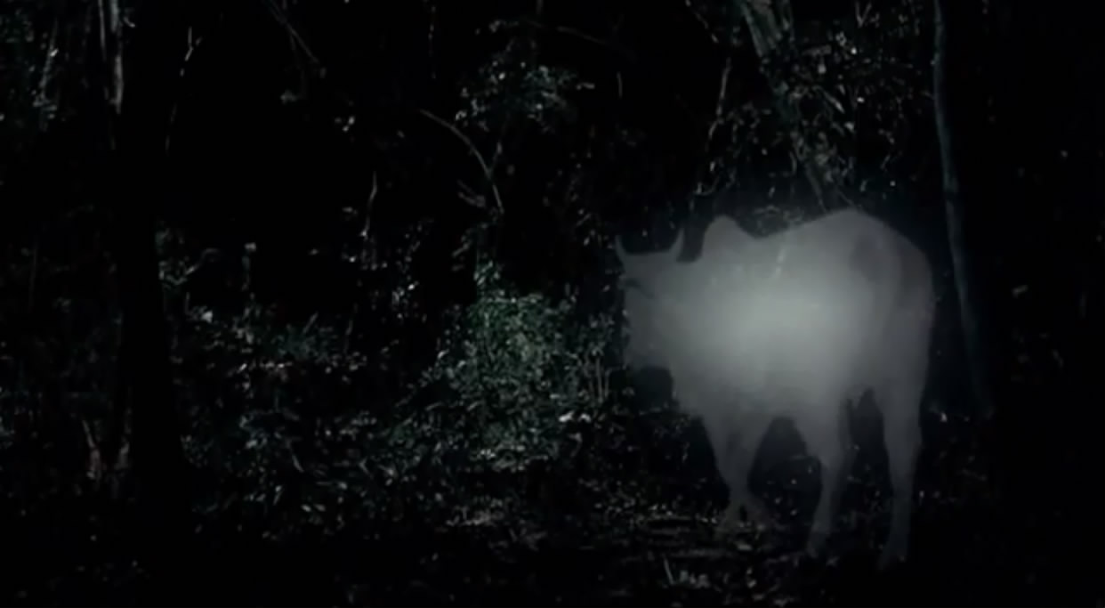 热带疾病剧照的剧照