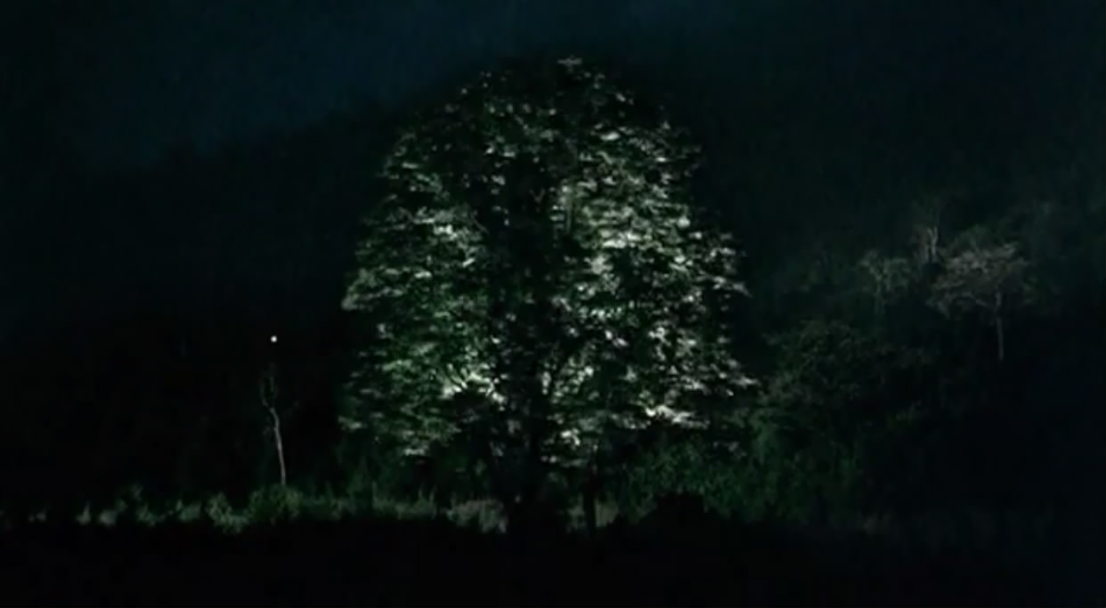 热带疾病剧照的剧照