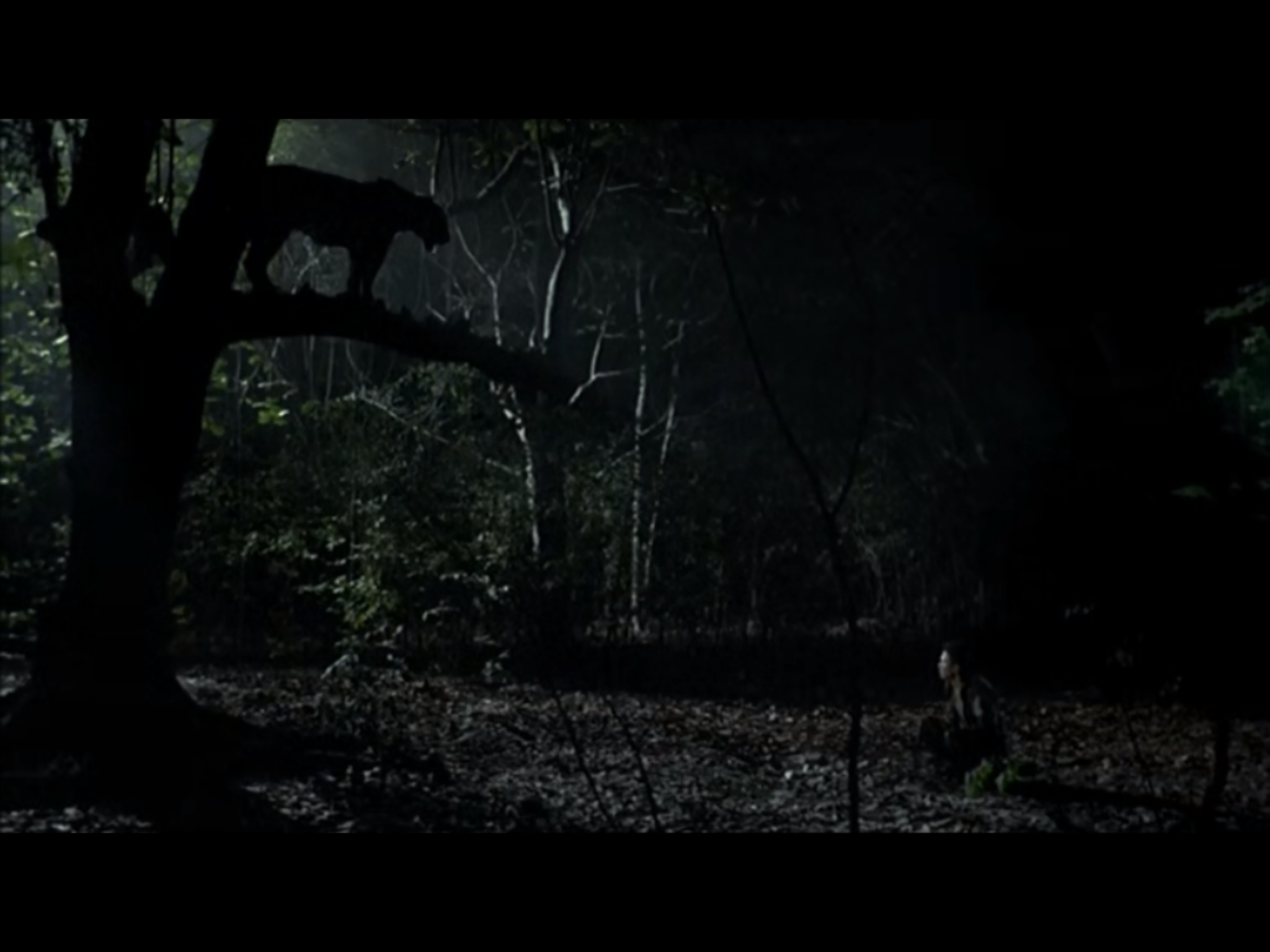 热带疾病剧照的剧照