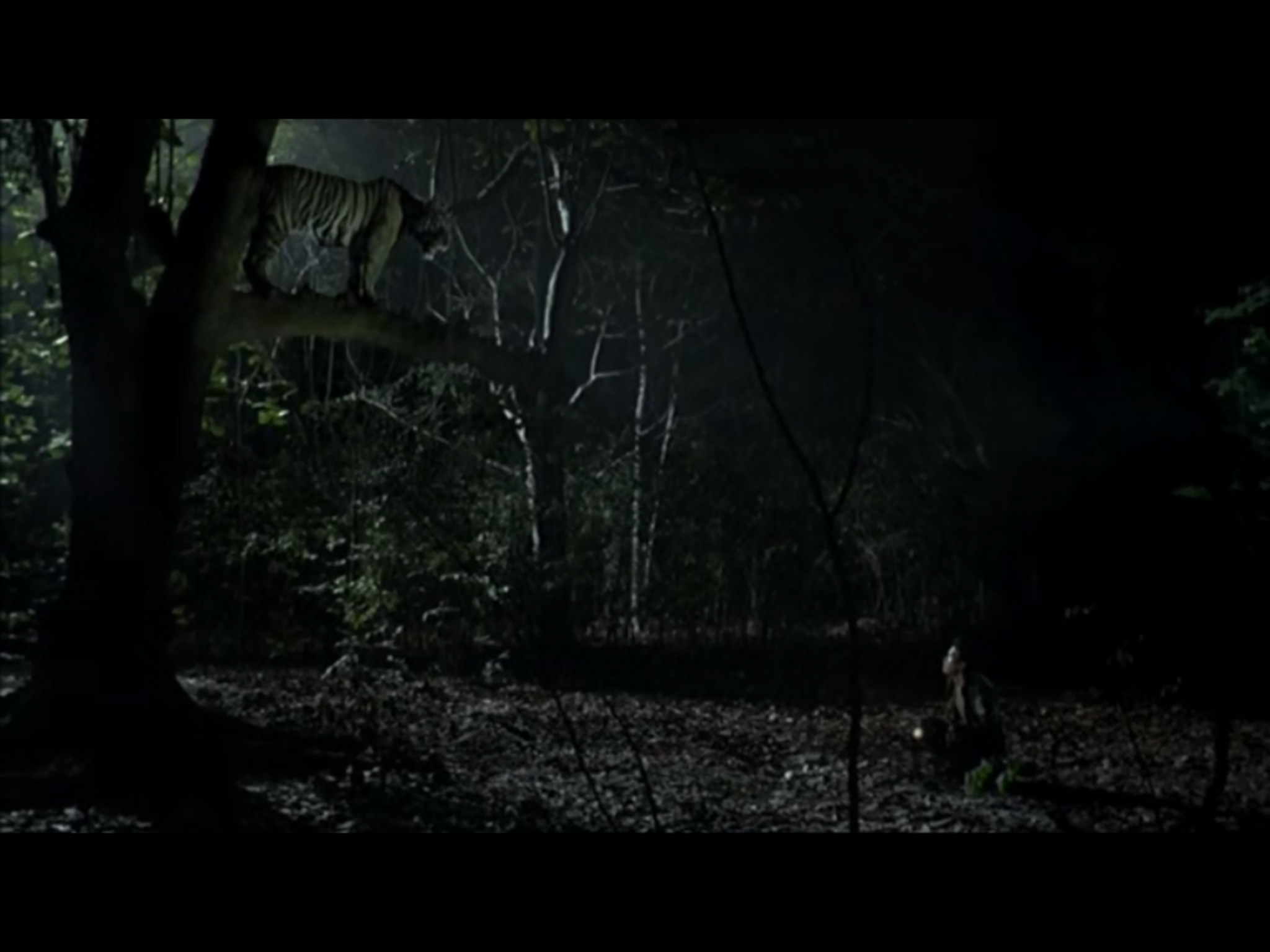 热带疾病剧照的剧照