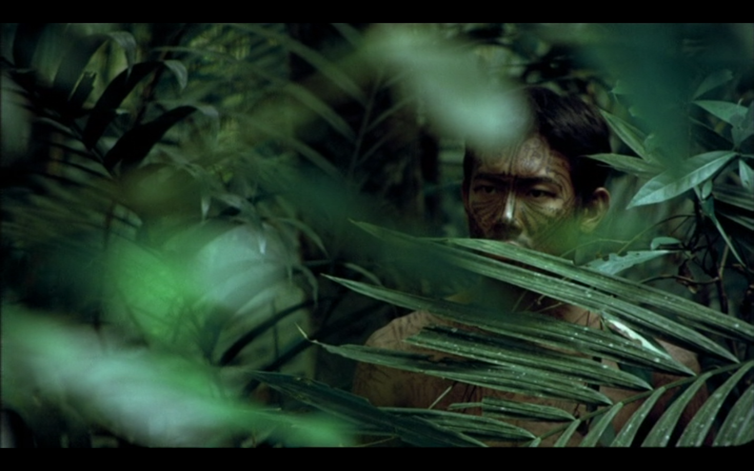 热带疾病剧照的剧照