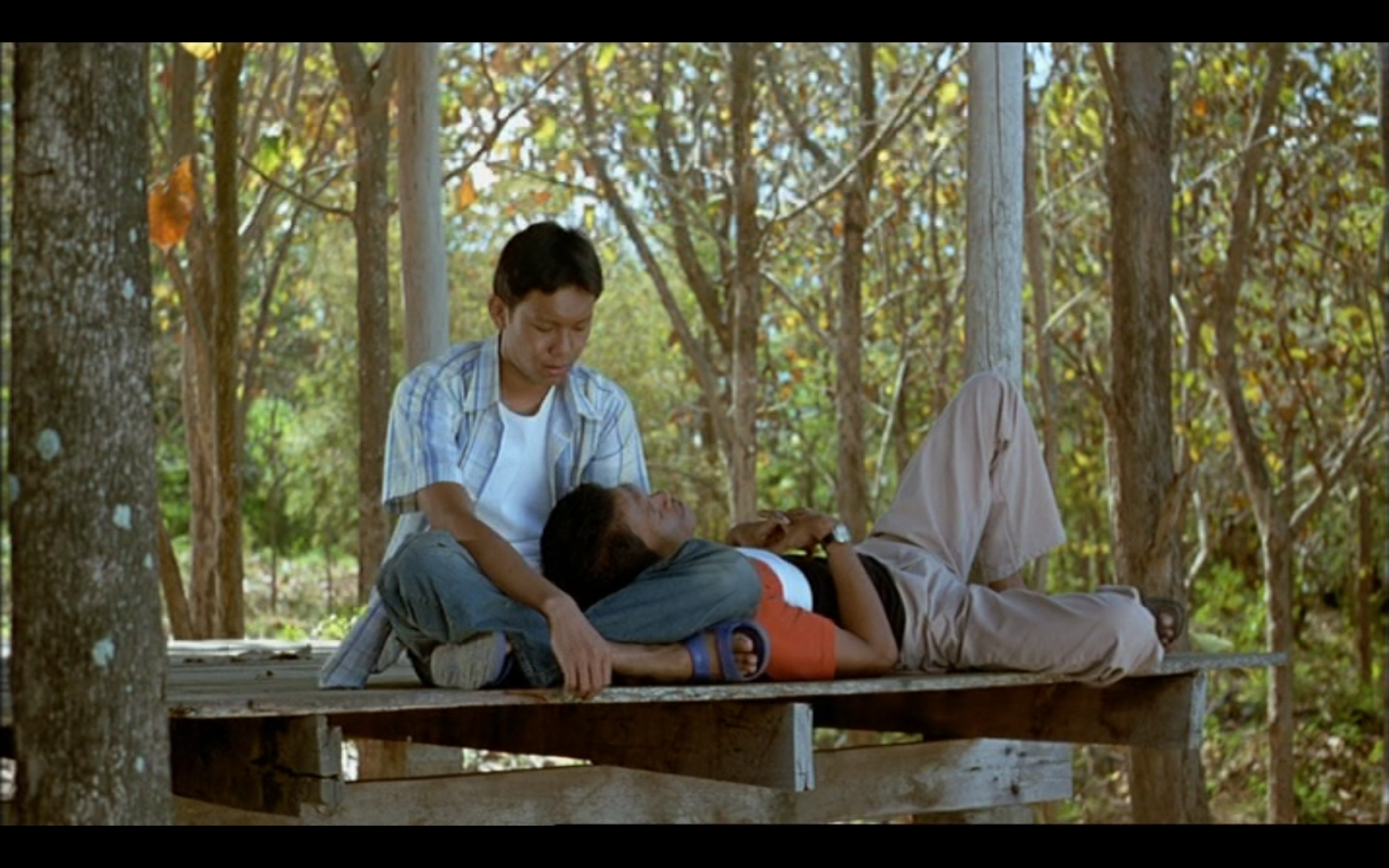 热带疾病剧照的剧照