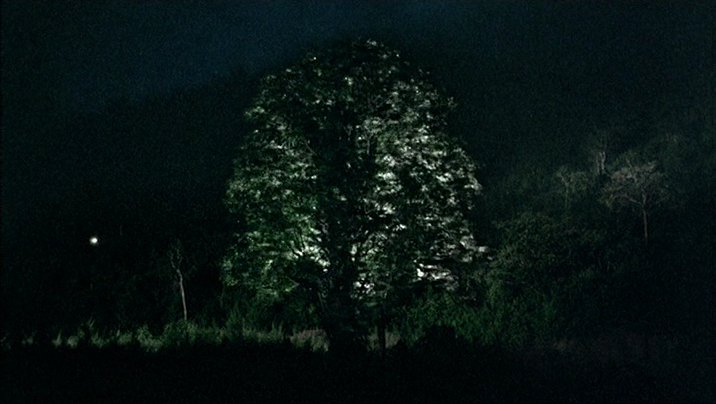 热带疾病剧照的剧照