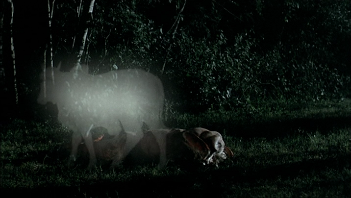 热带疾病剧照的剧照